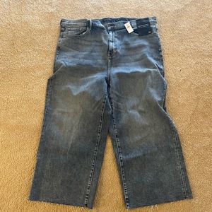 Banana Republic Wide Leg Jean